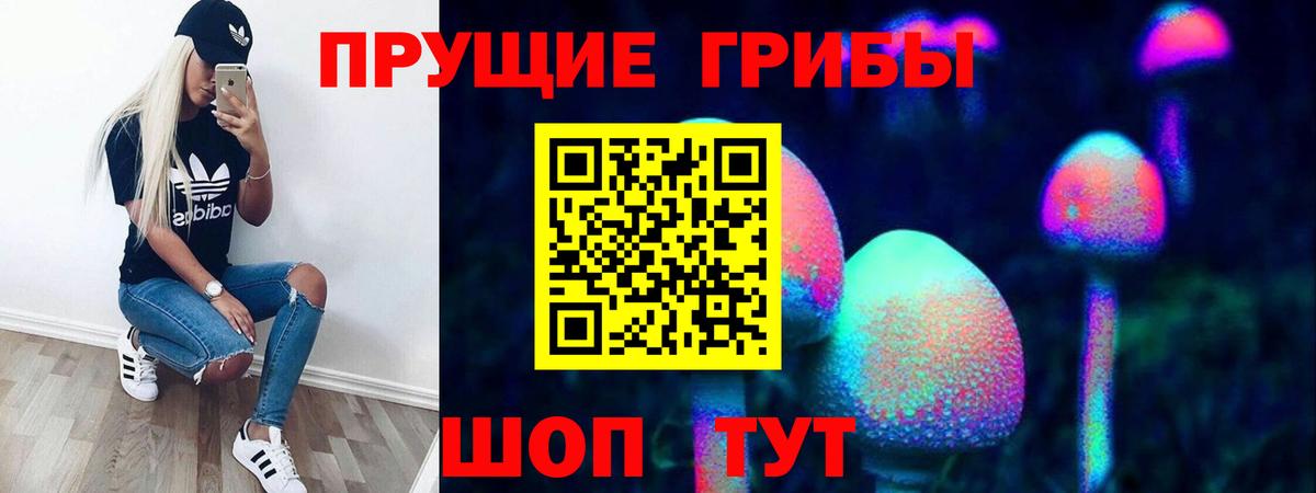 Серпухов  Галлюциногенные грибы GOLDEN TEACHER  купить наркотики сайты  Вход с VPN 
